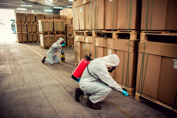 Professional Pest Control in Abbeville, AL