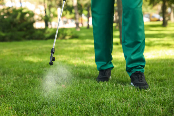 Best Exterminator Services  in Abbeville, AL