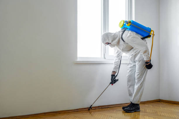 Pest Control Cost in Abbeville, AL
