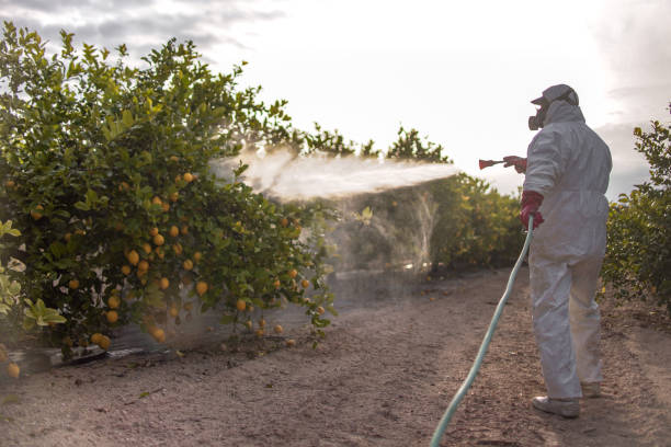 Best Pest Inspection Near Me  in Abbeville, AL