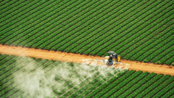 Best Best Pest Control Companies  in Abbeville, AL