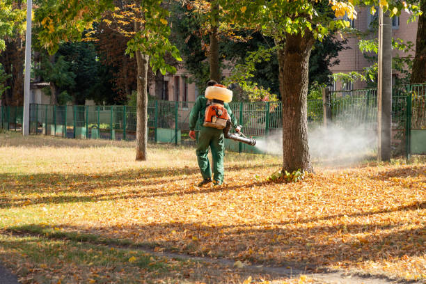Best Residential Pest Control  in Abbeville, AL
