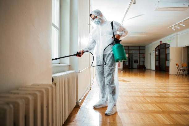 Best Flea Control Services  in Abbeville, AL