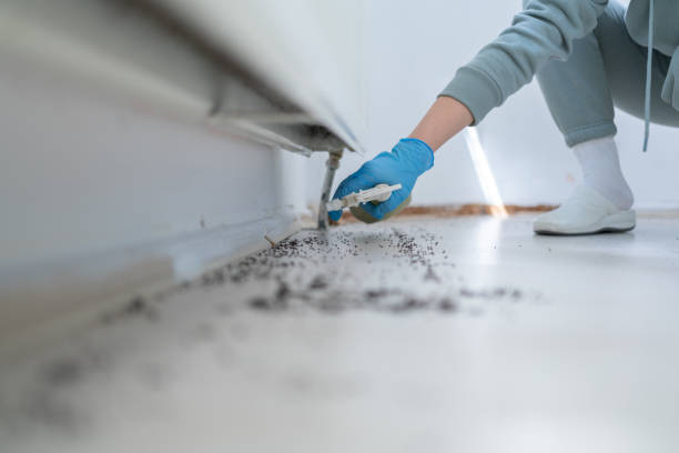 Best Wildlife Control Services  in Abbeville, AL